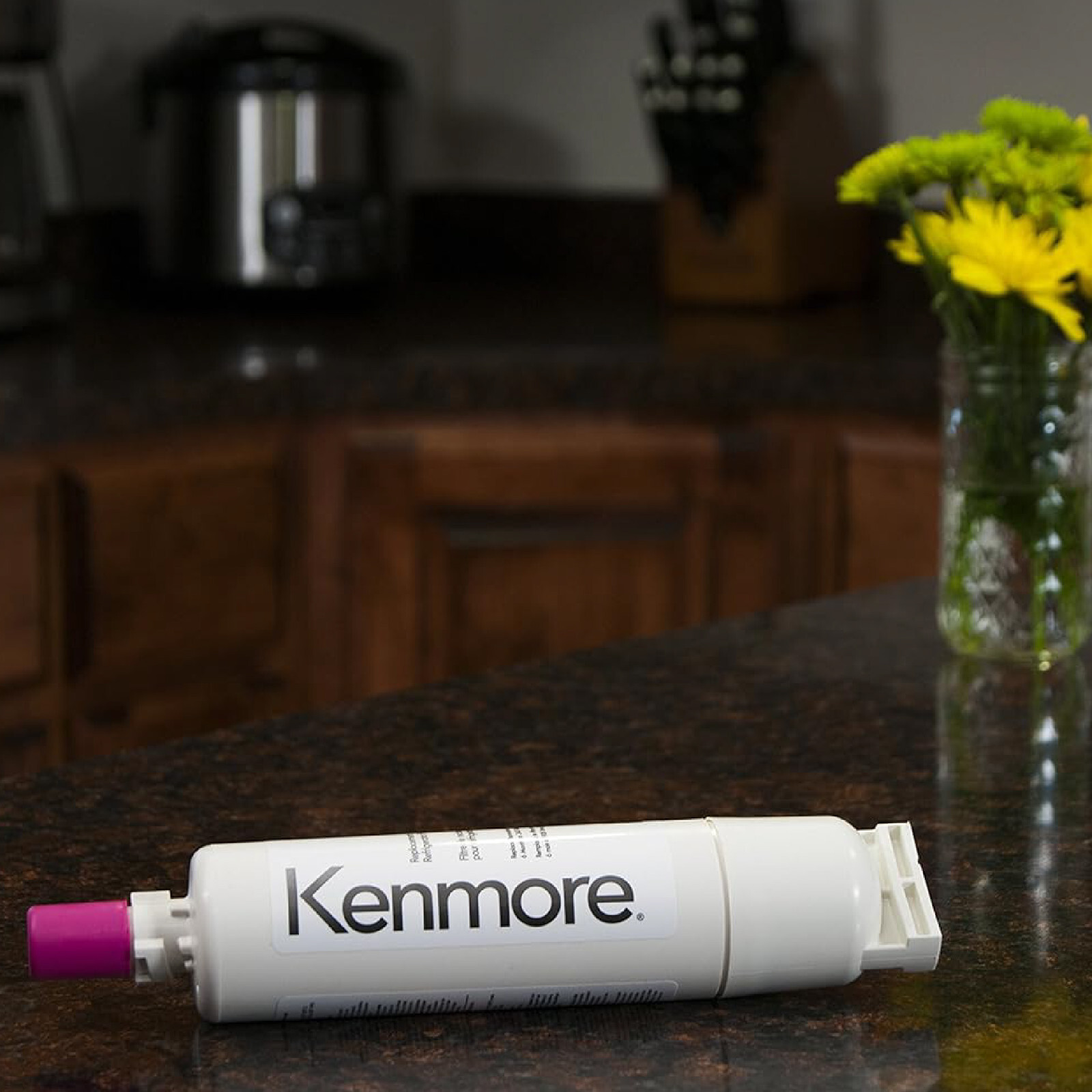Kenmore CECOMINOD046967 469085 Replacement Refrigerator Water Filter – 9085
