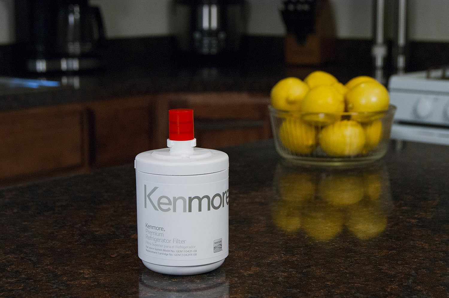 Kenmore 9890 79551012010 Replacement Refrigerator Water Filter, 1 Count, White