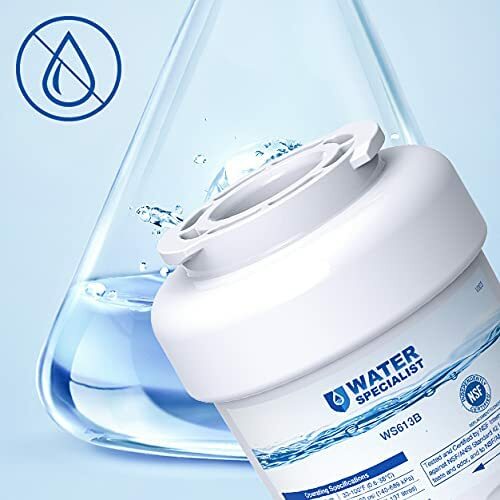 Waterspecialist MWF Refrigerator Water Filter, Replacement for GE® MWF (2)