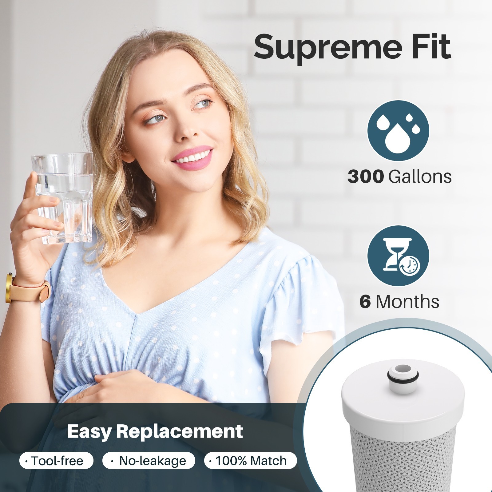ICEPURE WF1CB Refrigerator water filter Replacement For WF1CB,WFCB, RG100, WF284