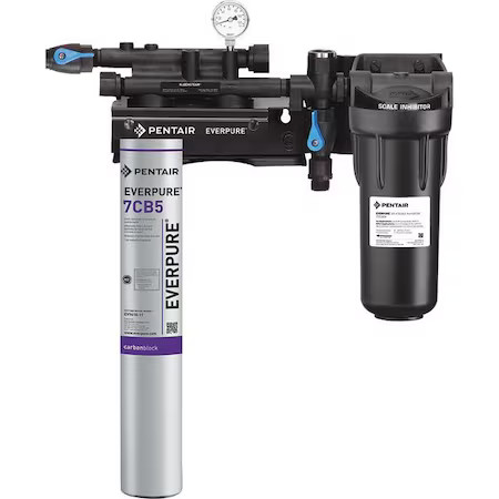 Everpure Ev979721-75 Steamer Filter System, 3/4 In Npt, 2.5 Gpm