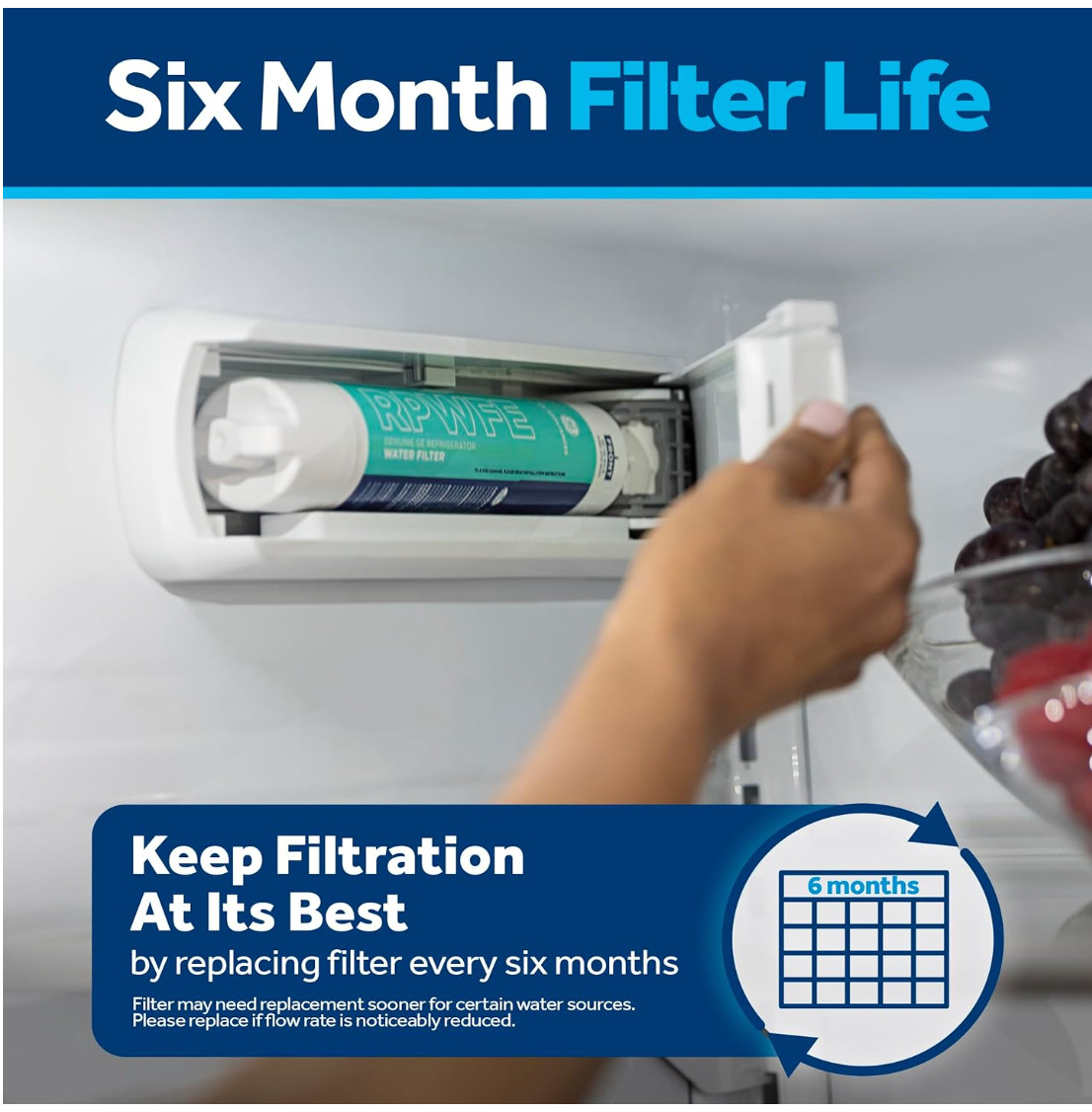 GE RPWFE Refrigerator Replacement Water Filter
