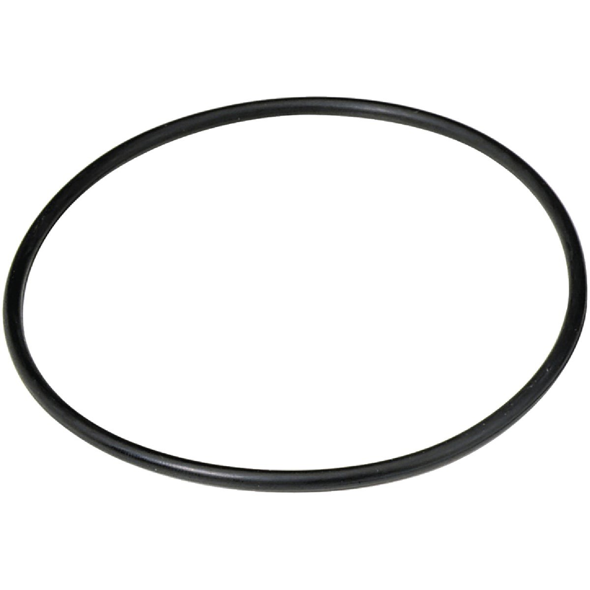 Culligan 3/4 In. Water Filter O-Ring, (2-Pack) OR34A Culligan OR34A