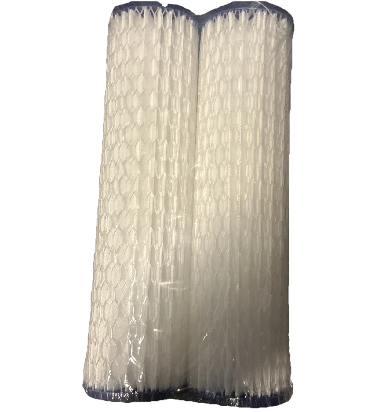 Genuine OEM GE FXWPC Water Filter, 2 Count (Pack of 2), White