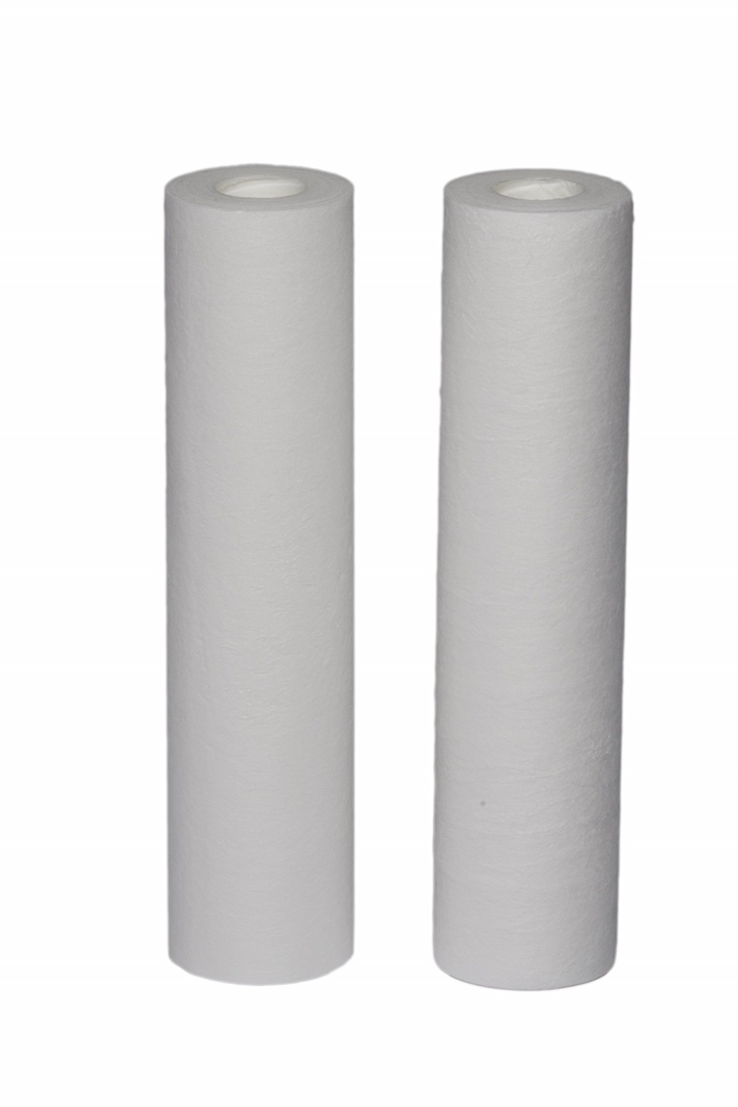 EPW2B Whole House Replacement Filter, 2 Count (Pack of 1), White