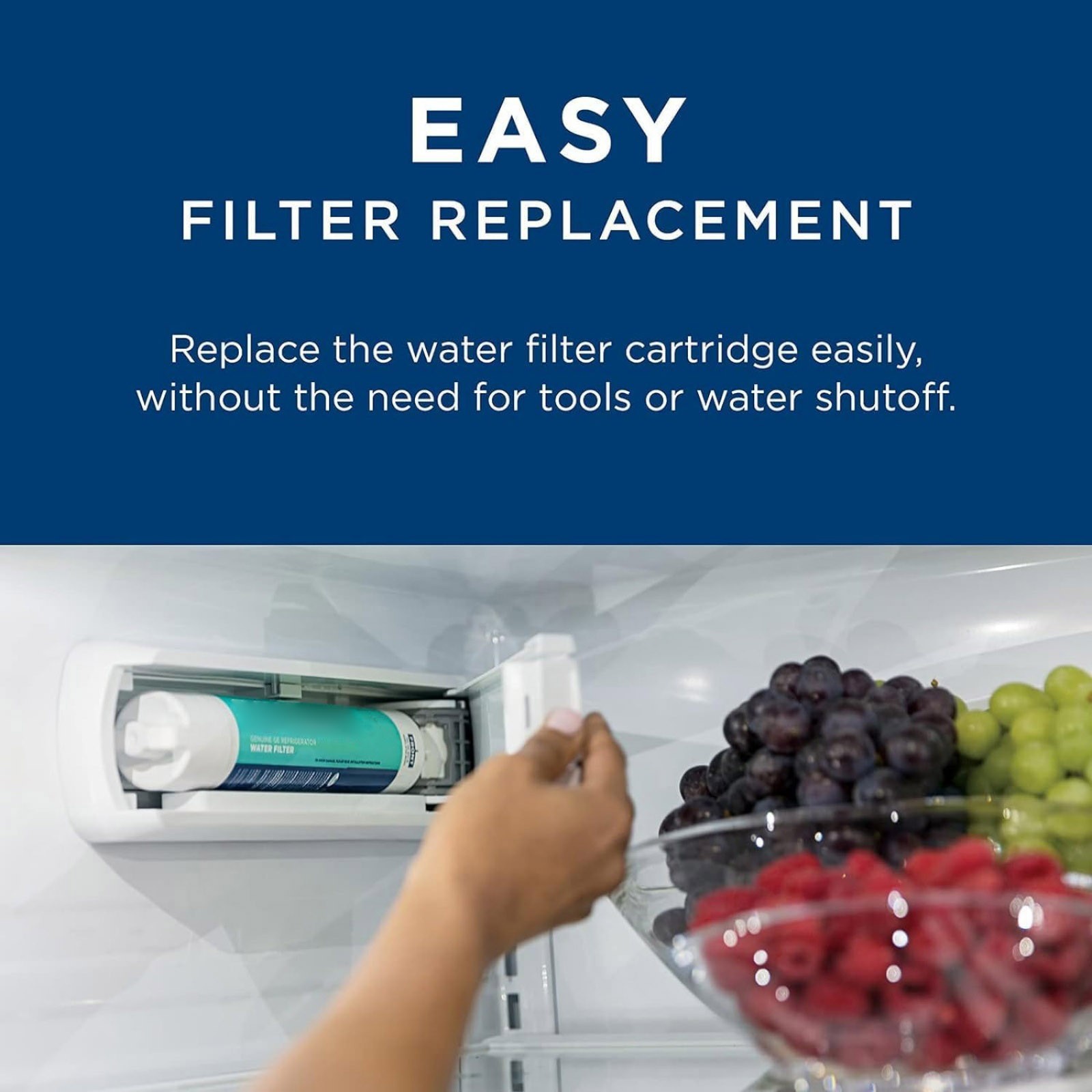 For GE RPWFE Water Filter Refrigerator Replacement Without Chip Type Original
