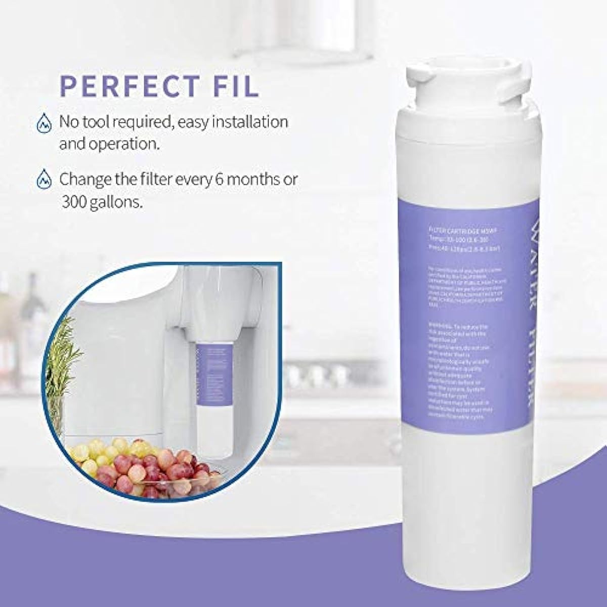 Clanory MSWF Replacement Refrigerator Water Filter For G²E MSWF SmartWater