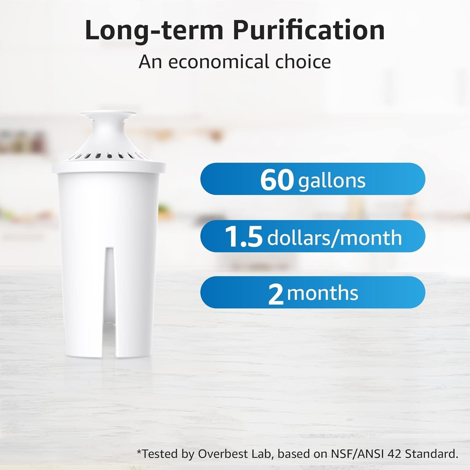 Efficient 2-Count NSF Certified Water Filter for Brita Pitchers and Dispensers