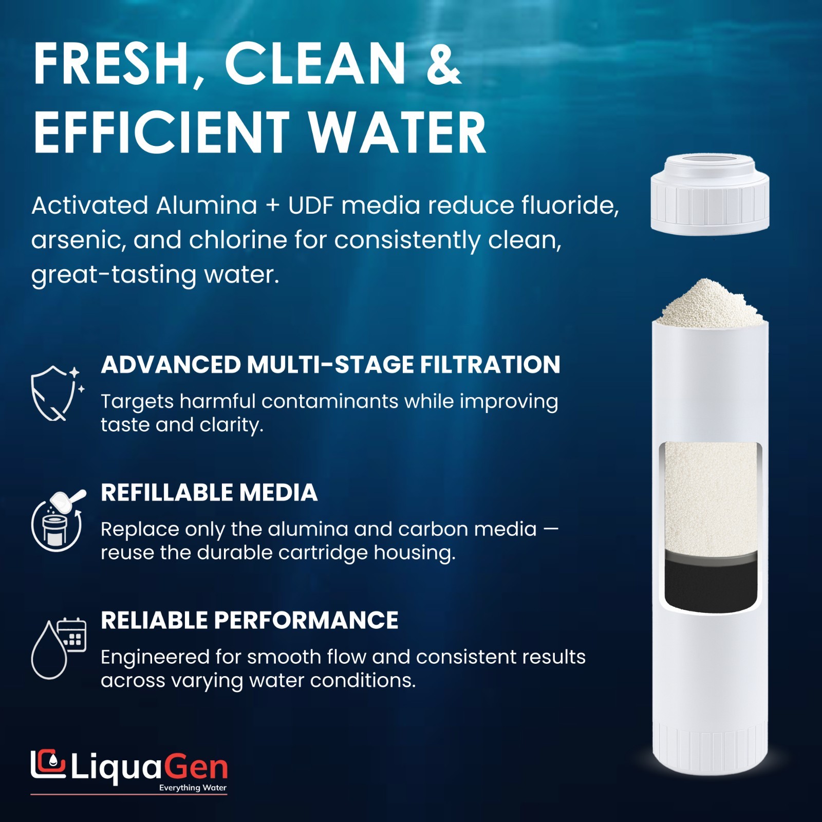 LiquaGen 2.5″x10″ Activated Alumina + UDF/GAC Filter – Fluoride & Arsenic