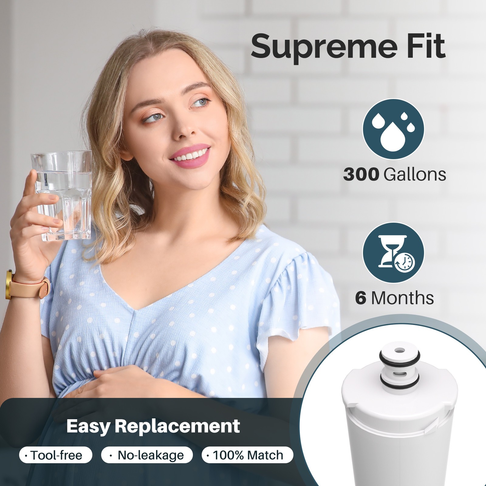4 Pack Icepure 640565 EVOLFLTR10 AP3961137 WHKF-R-Plus Comparable Water Filter