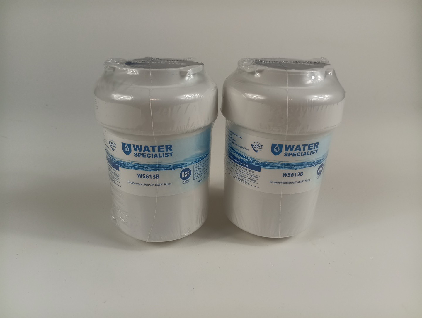 2 Waterspecialist Replacement for GE® MWF®, SmartWater® MWFP Fridge Water Filter