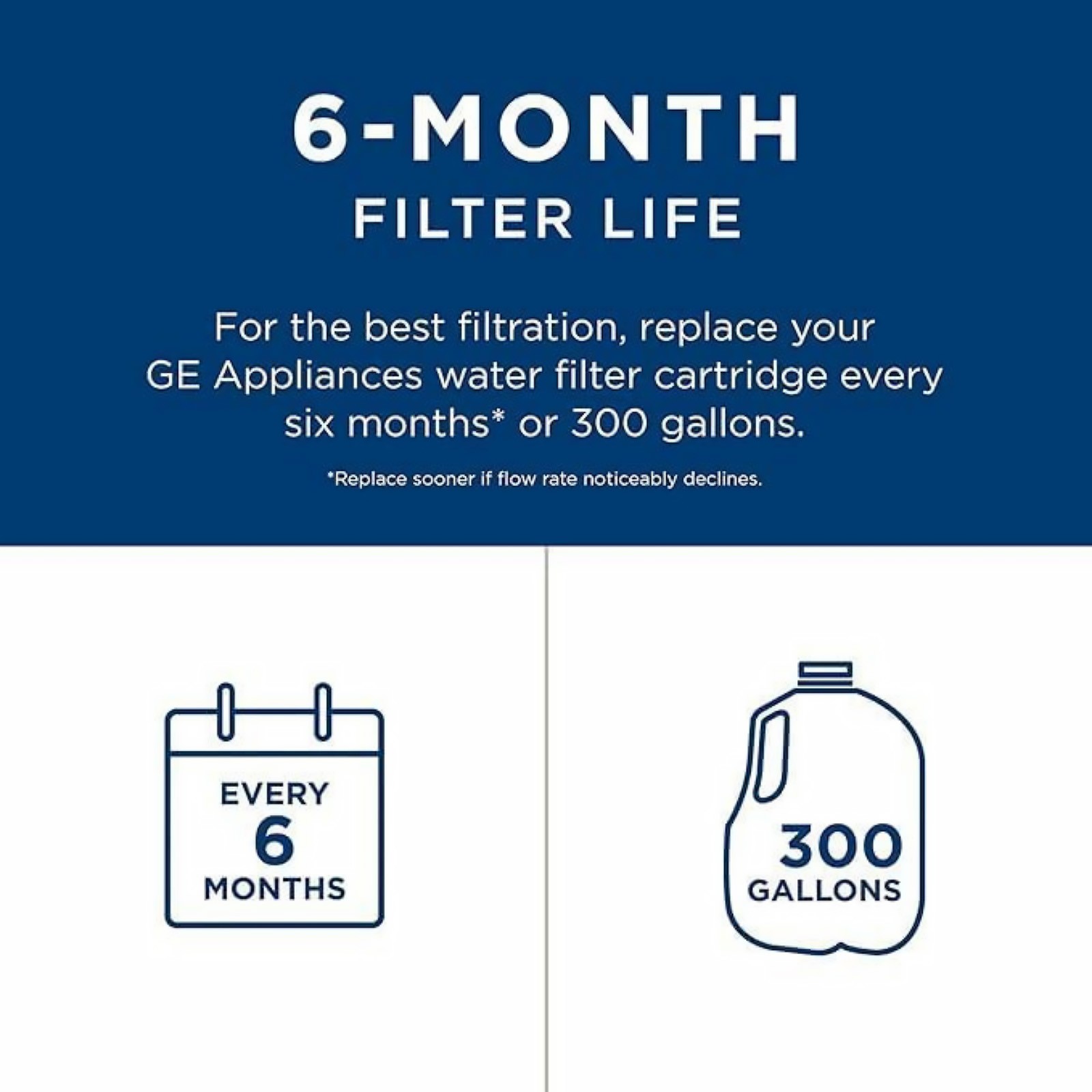 For GE RPWFE Water Filter For Refrigerator Replacement Without Chip Six Months