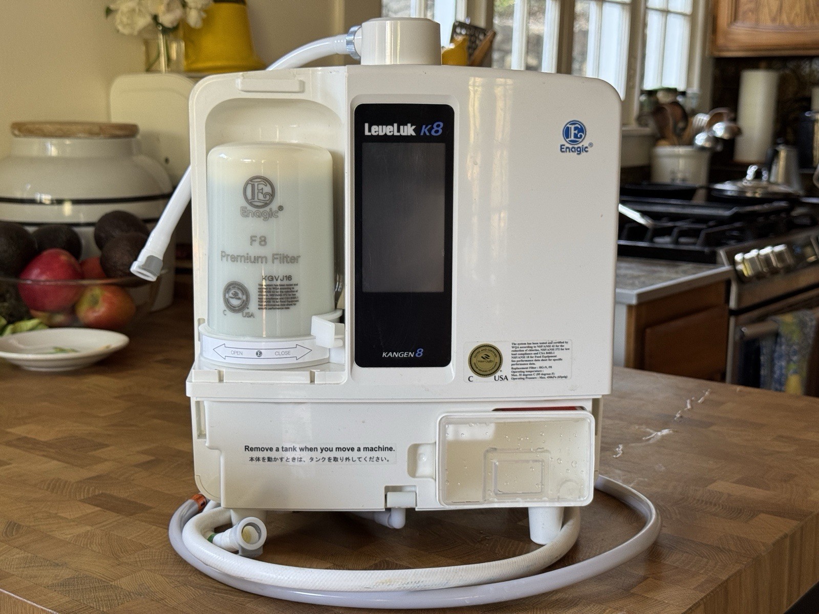Kangen LeveLuk K8 — Just Cleaned, pH Verified, Complete Kit