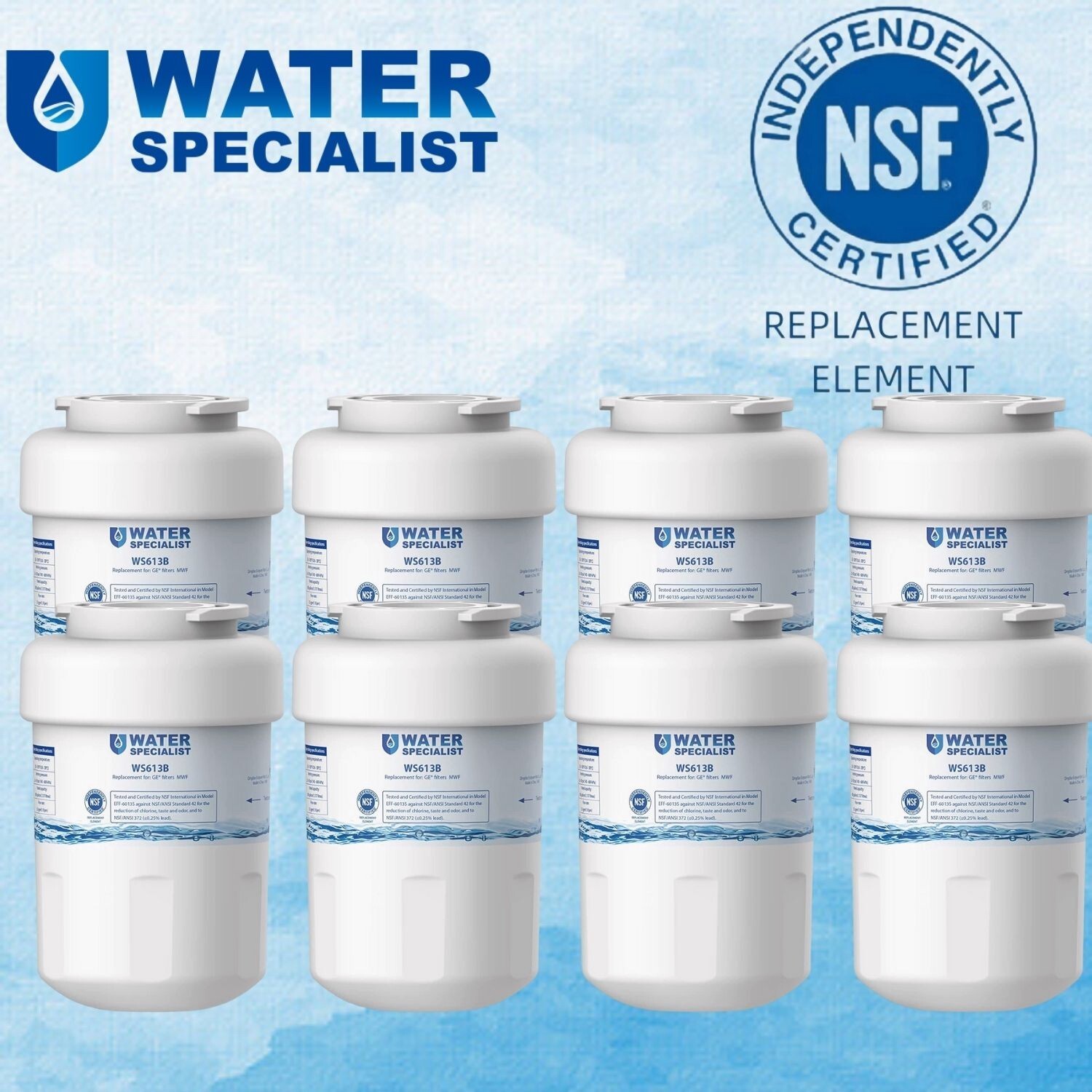 Waterspecialist MWF Refrigerator Water Filter,Replacement for GE® SmartWater MWF