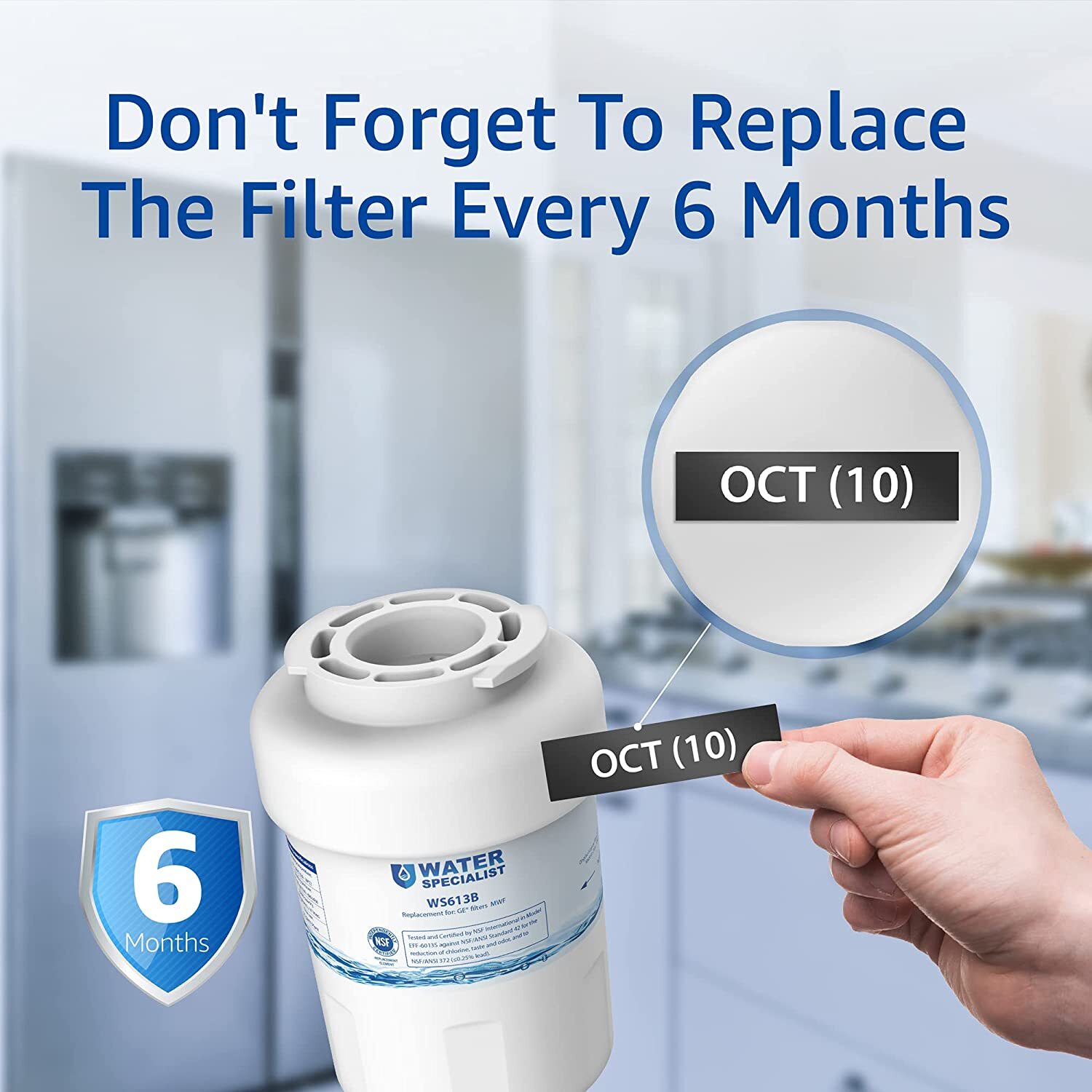 Waterspecialist Refrigerator Water Filter Replacement for GE® MWFP, MWFA,GWF(6)