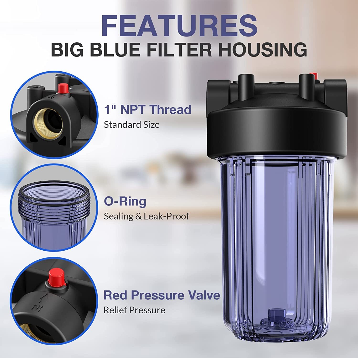 10 Inch Big Blue Clear Whole House Water Filter Housing &2pcs CTO Carbon System