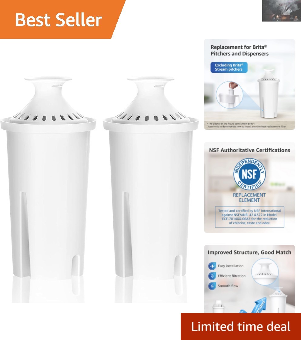 Efficient 7006 Water Pitcher Filter – Reduces Chlorine & Improves Taste, 2 Count