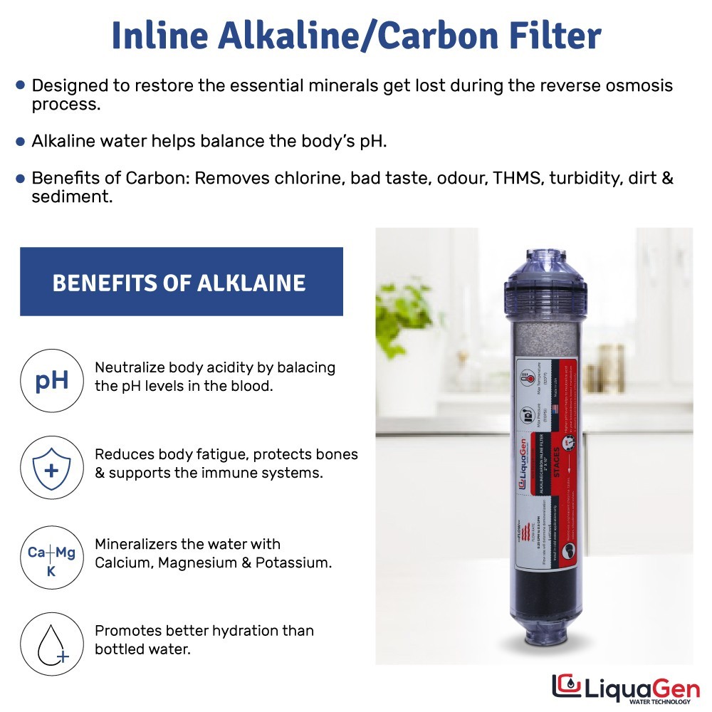 LiquaGen 2″ x 10″ Alkaline Mineral + Carbon Inline Filter Post RO pH Kit