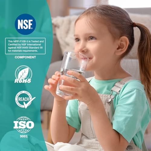 Sediment Water Filters, 5 Micron Whole House 4 Count (Pack of 1) 10″ x 4.5″