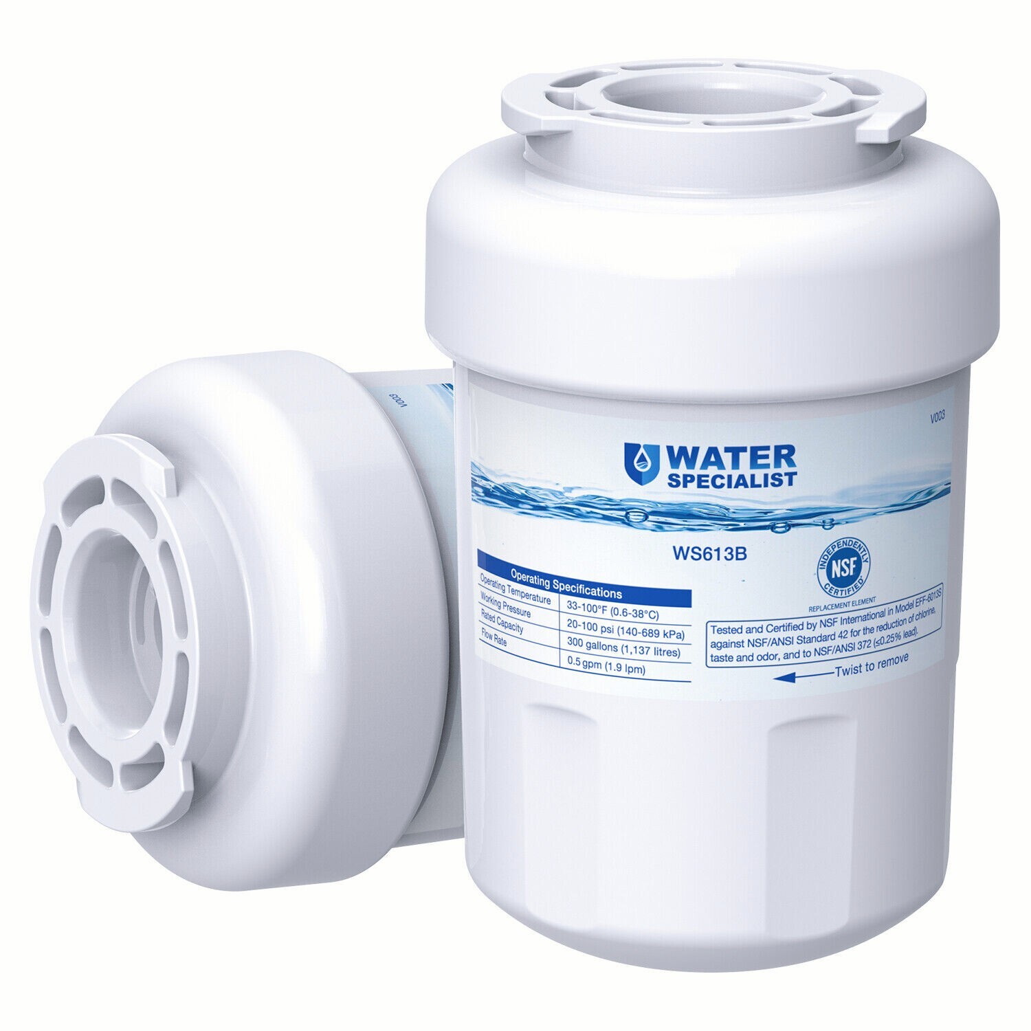 Waterspecialist Refrigerator Water Filter, Replacement for GE® SmartWater MWF