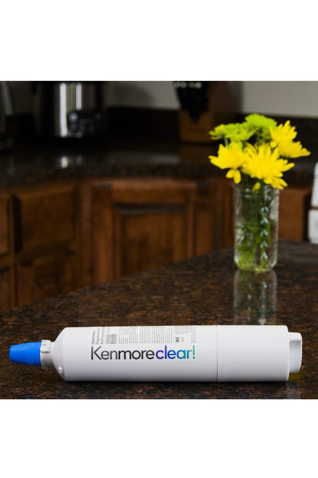 Kenmore 9990 Refrigerator Water Filter – B221C