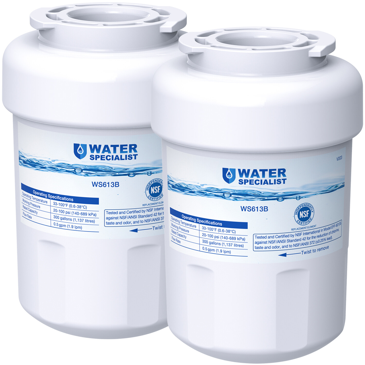 Waterspecialist MWF Refrigerator Water Filter, Replacement for GE® MWF (2)