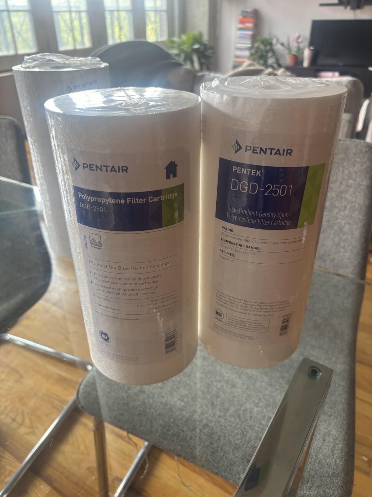 Pentair Pentek DGD-2501 Big Blue Water Filter Whole House Replacement 10×4.5″ 1C