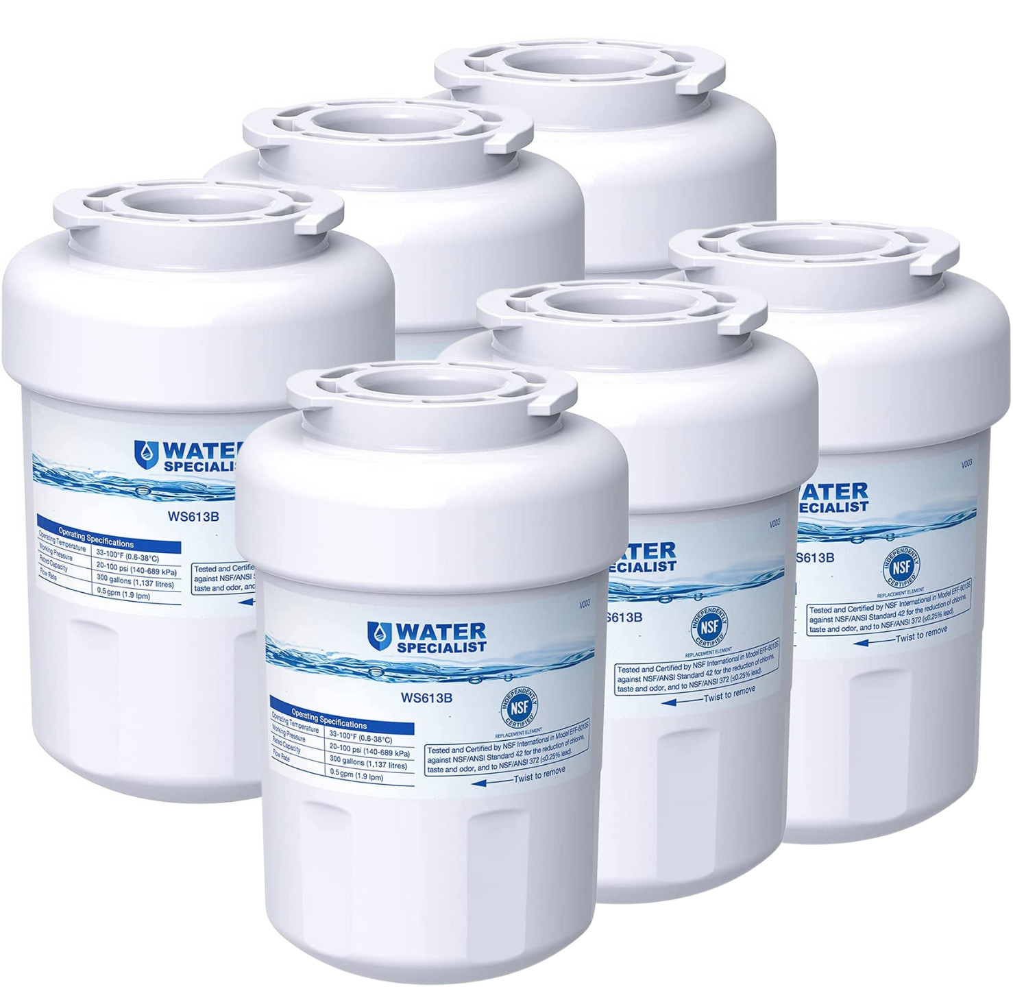 Waterspecialist MWF® Refrigerator Water Filter, Replacement for GE® MWF®(6)