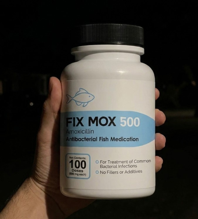 FOR FISH Aquariums & FISH Tanks 500mg/100 CTFREE SHIP USA