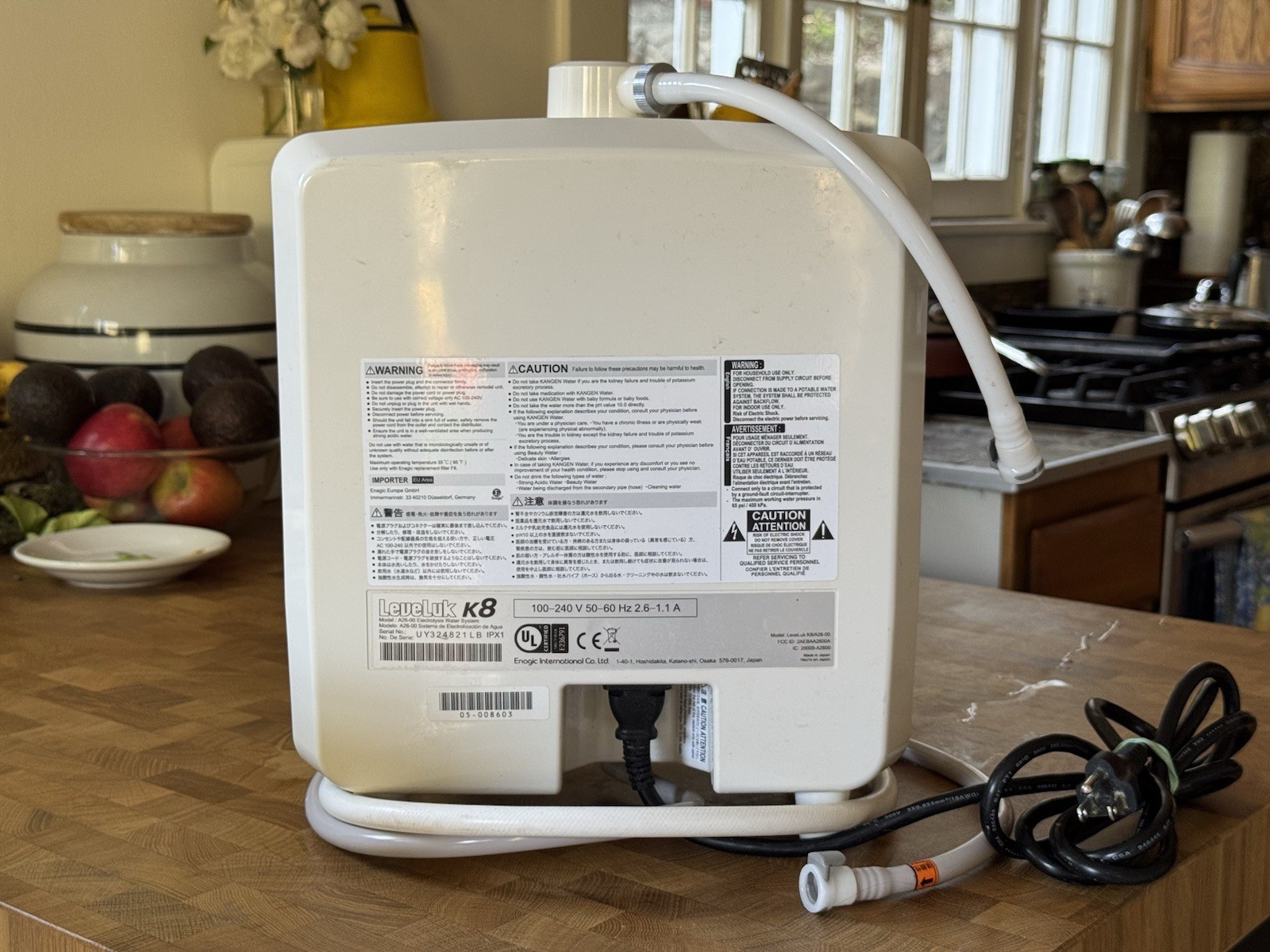 Kangen LeveLuk K8 — Just Cleaned, pH Verified, Complete Kit
