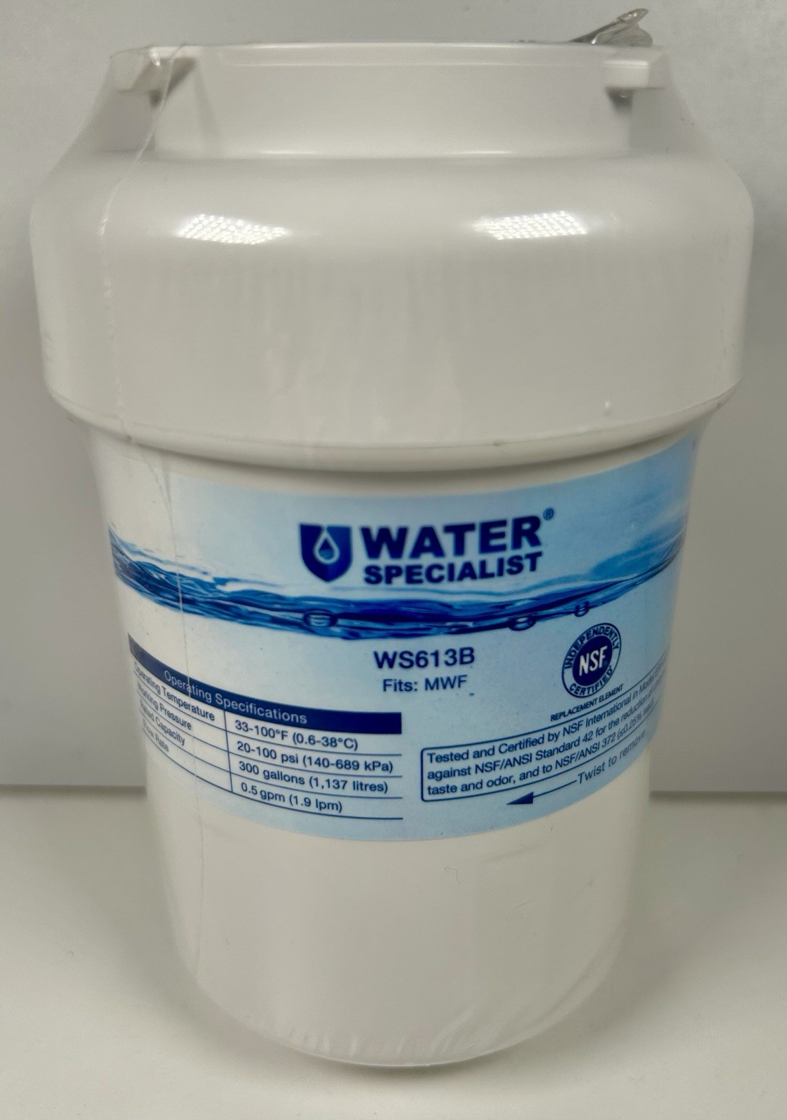Water Specialist WS613B MWF Water Filter for GE, 300 gal Carbon, 1 Pack