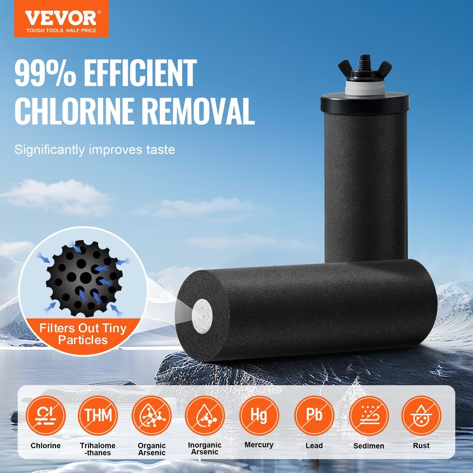 2.25G Heavy-Metal Reducing Gravity Filter 304 SS w/Carbon & Spigot