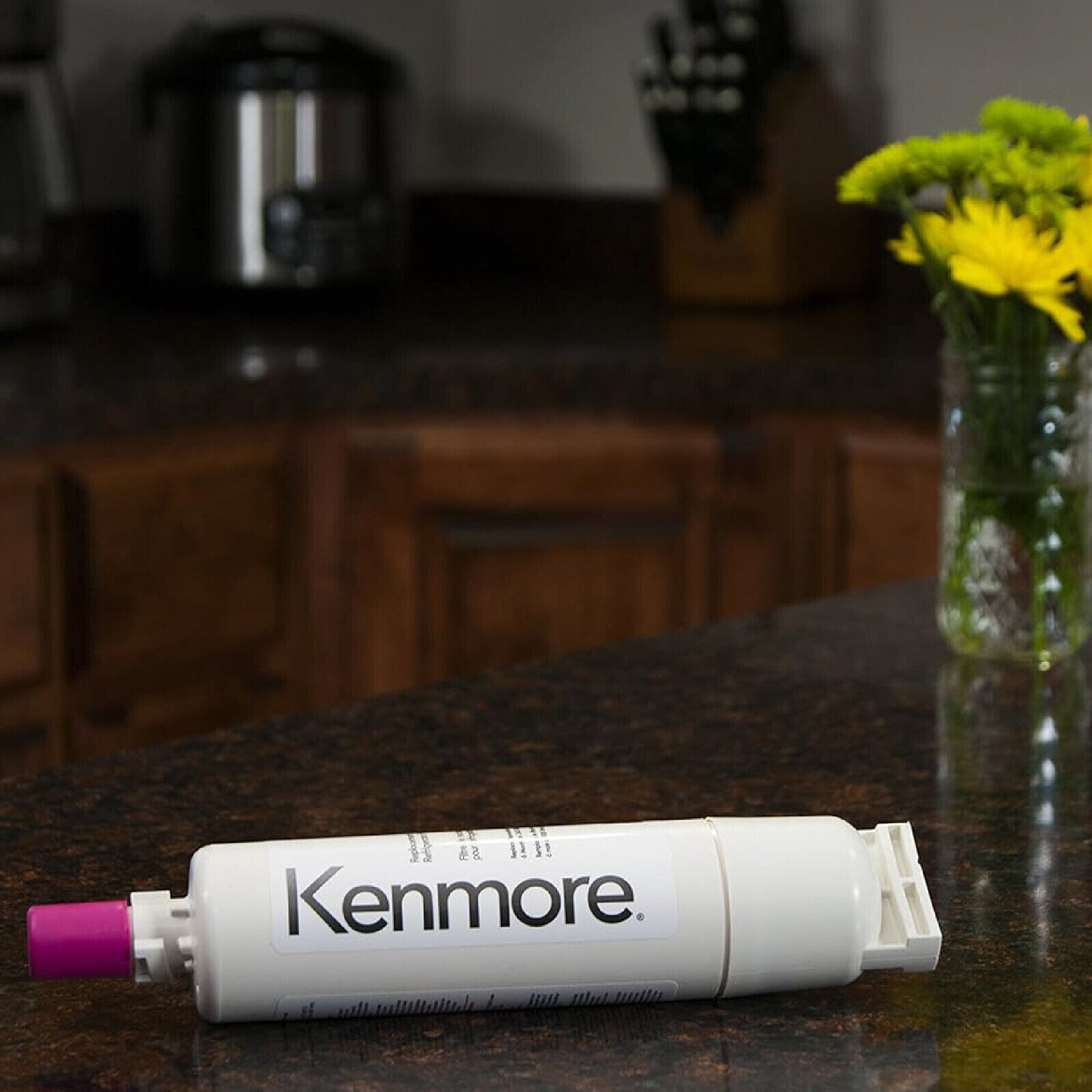 Kenmore 9085 469085 Refrigerator Water Filter Replacement Compatible Models