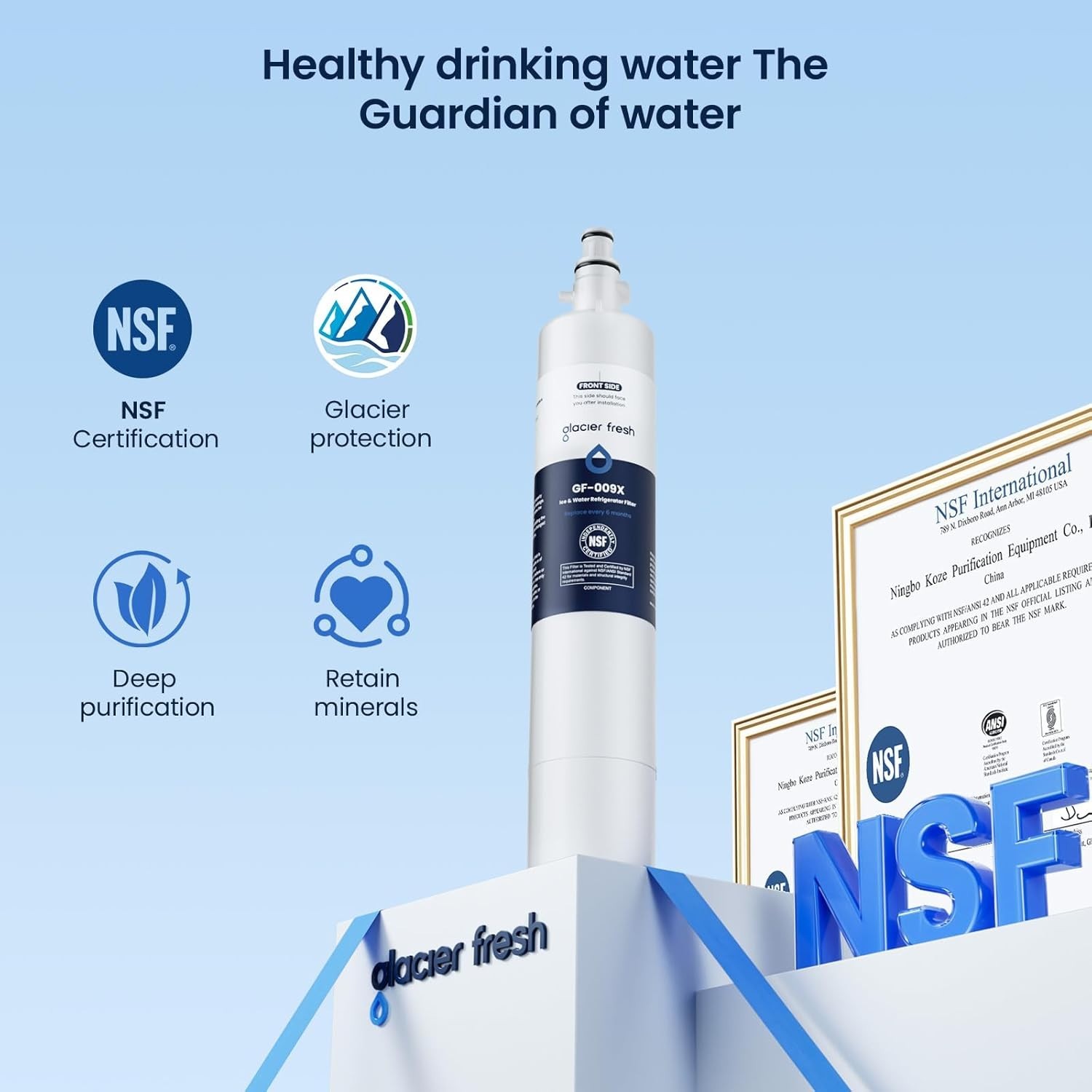 Replacement Water Filter for GE Refrigerators 1 Count NSF Certified Carbon Fiber