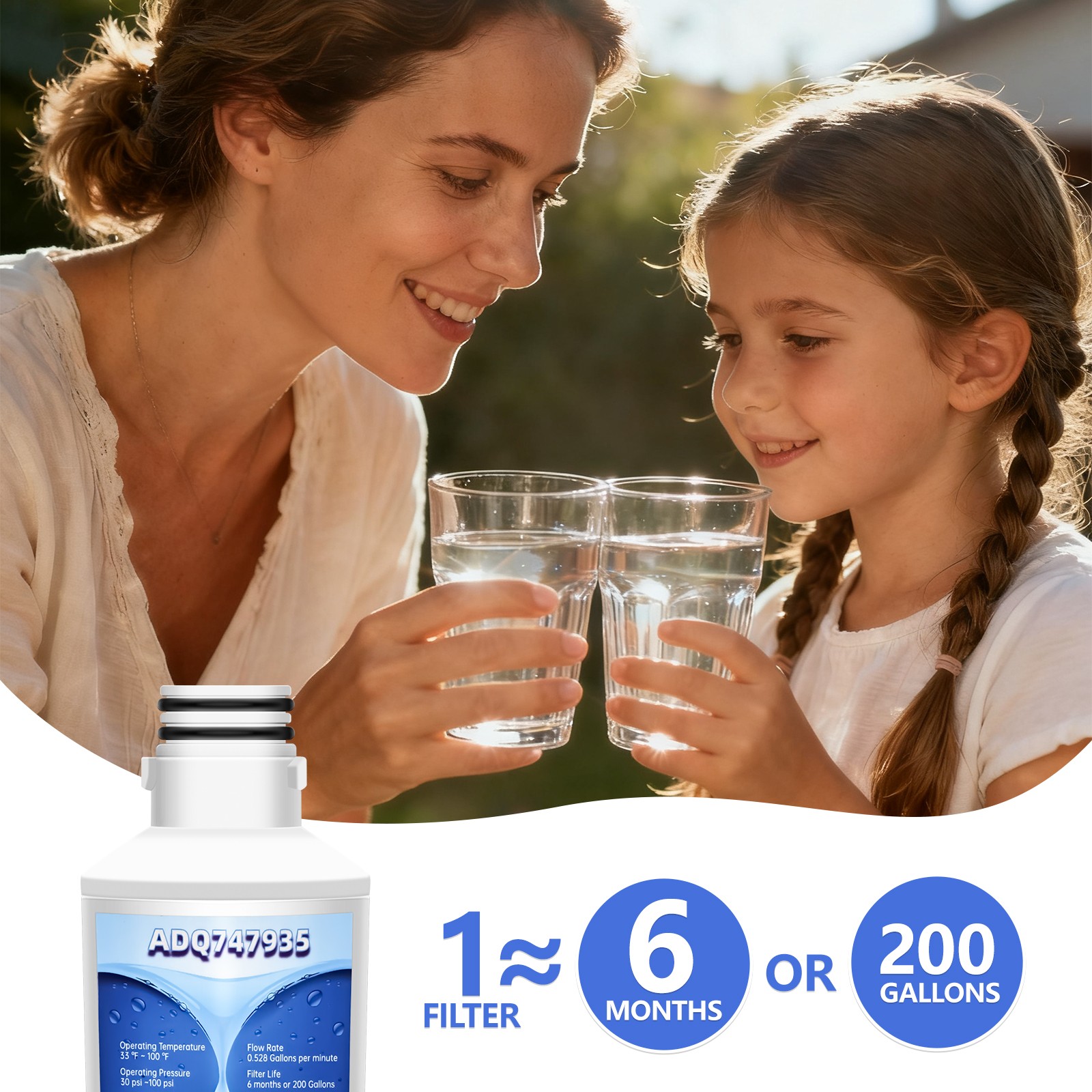 4-Pack LG LT1000P Refrigerator Water Filter, Compatible with ADQ747935