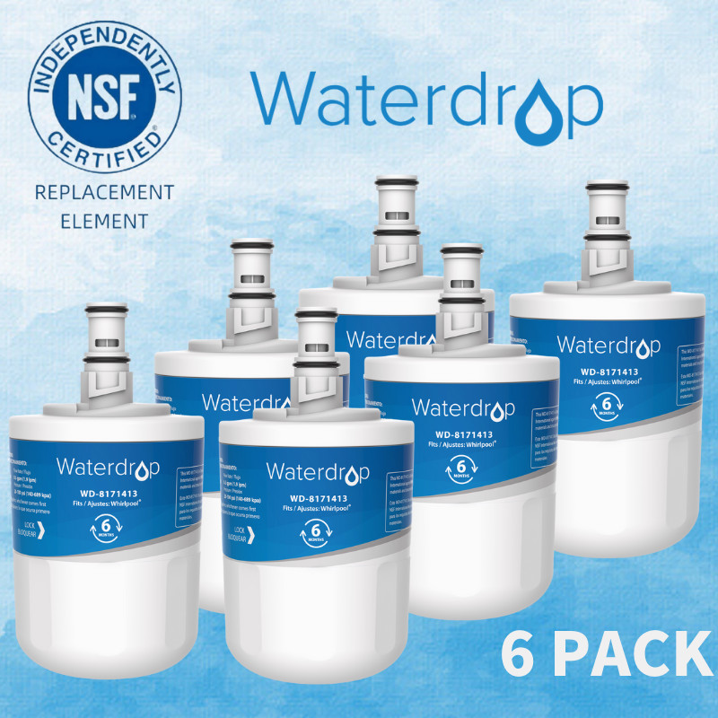 Waterdrop 8171413 Water Filter, Replacement for NLCS200, EDR8D1, Kenmore 46-9002