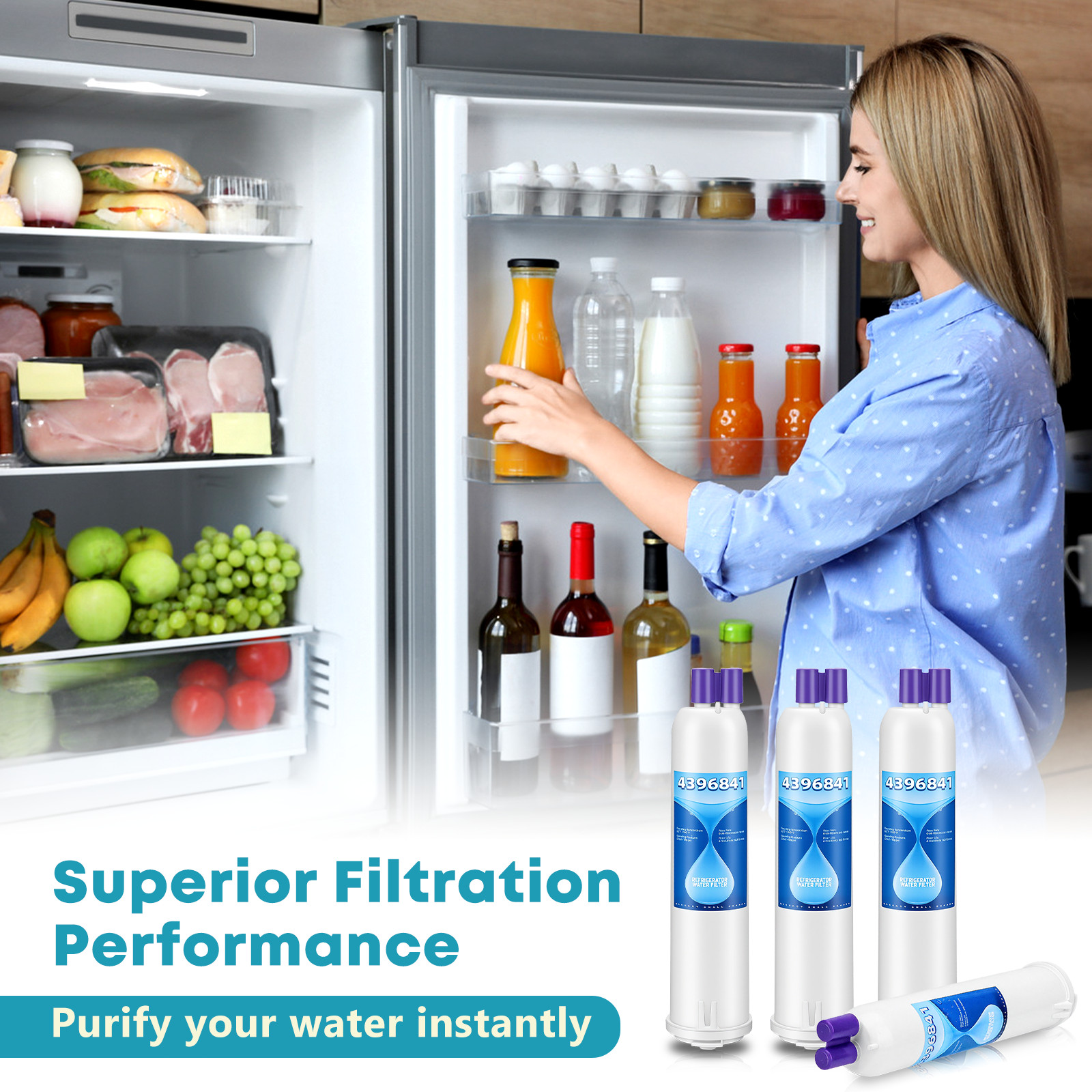 2 Pack Refrigerator Water Replacement Filter P1WB2 W10121145